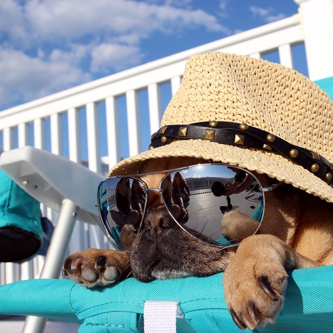 הכי מרענן שיש
