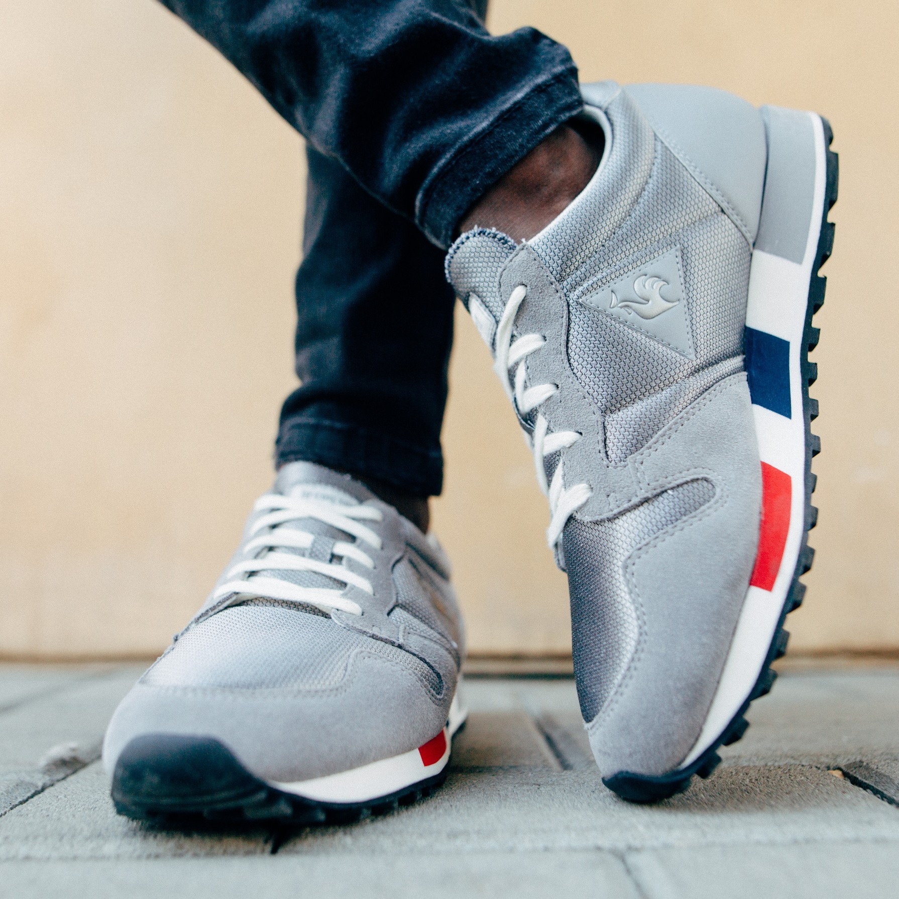 חורף של תרנגולים