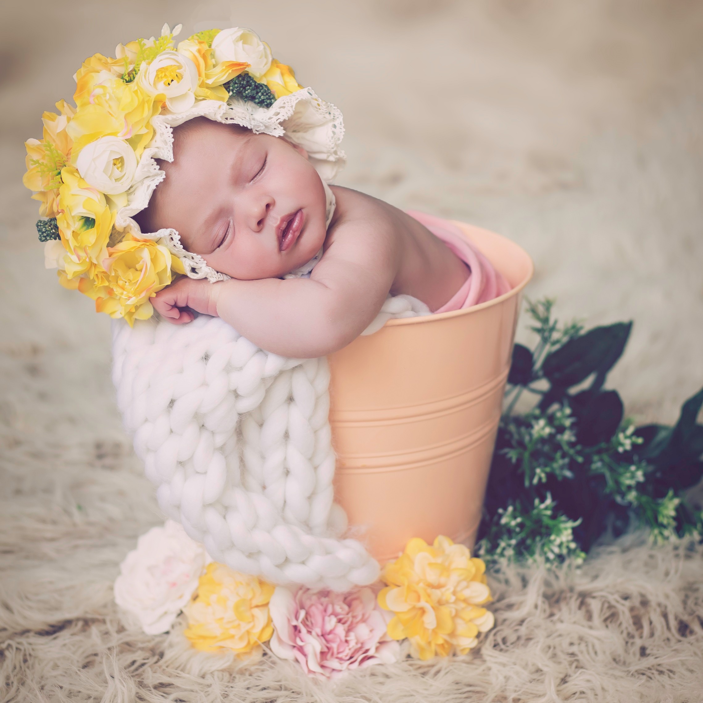 רק נולד וכבר דוגמן