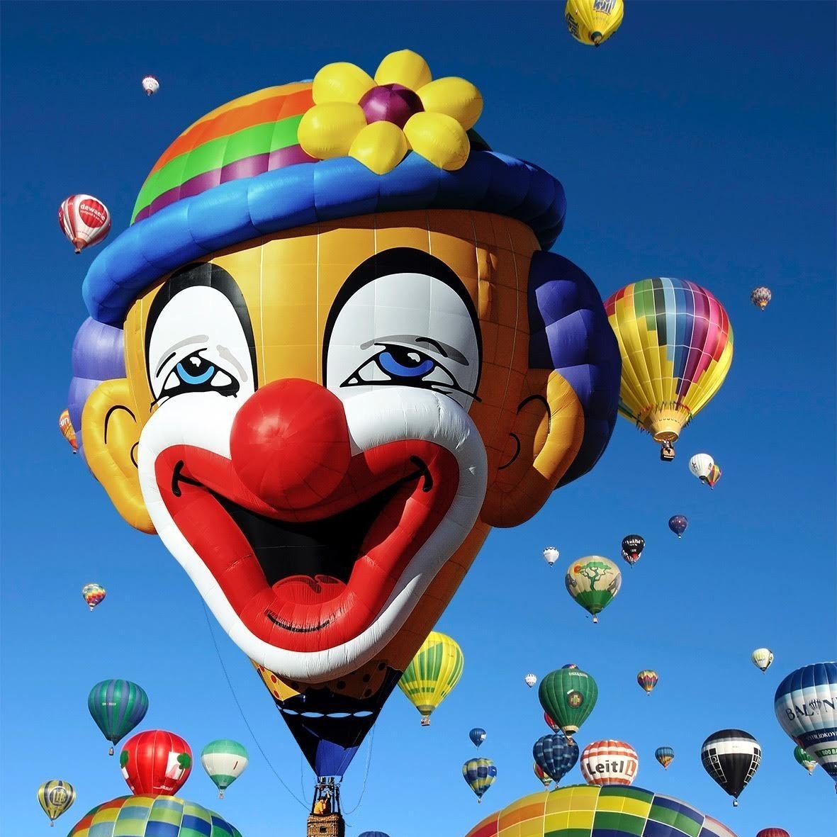 כדורים פורחים בנגב