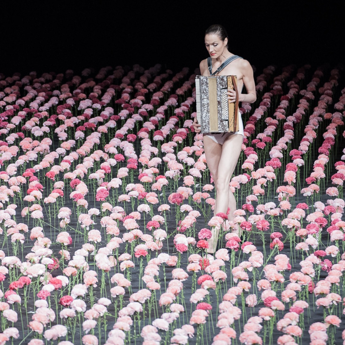 ציפורנים על הבמה