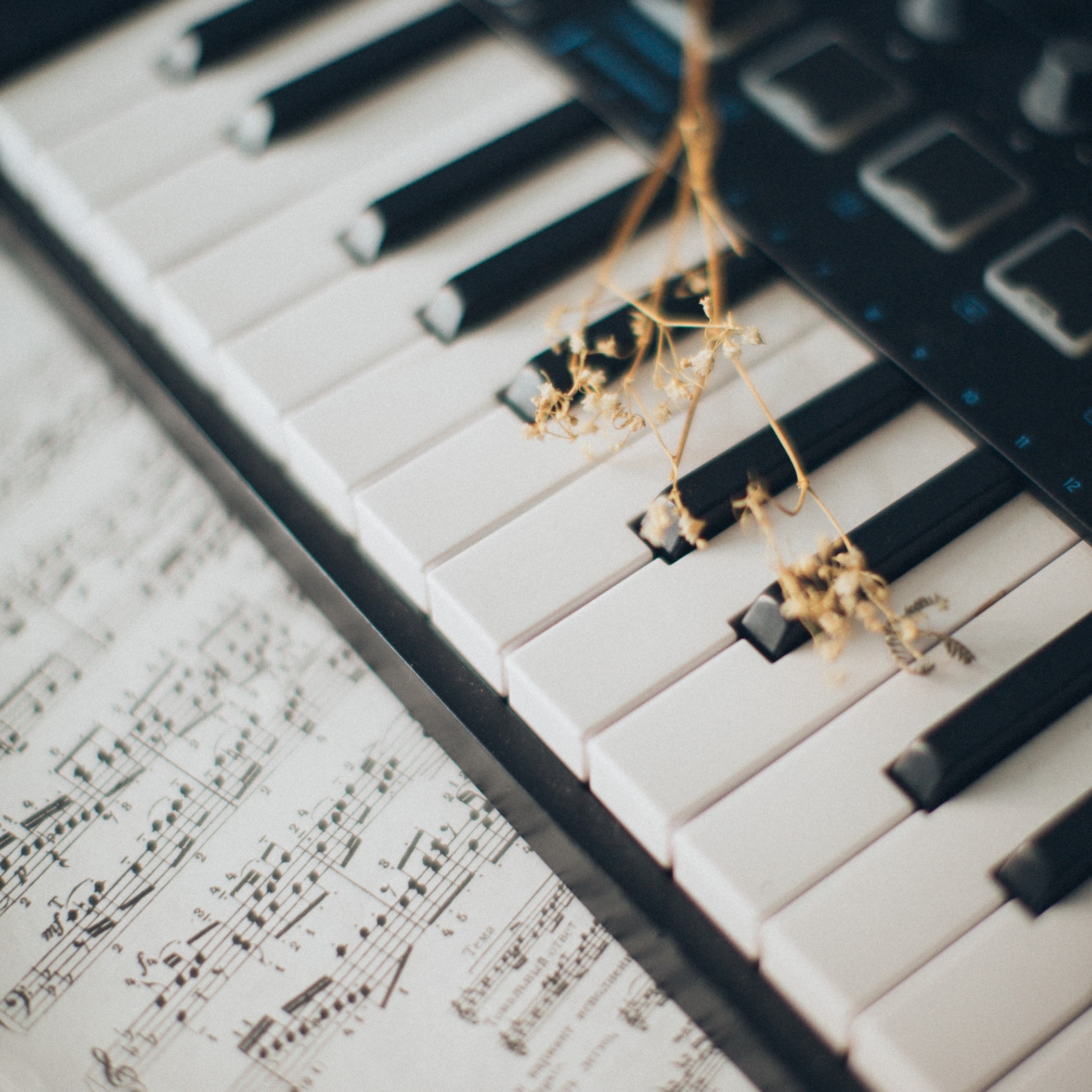 Photo by Elina Sazonova from Pexels