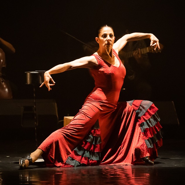 פלמנקו ללא מעצורים