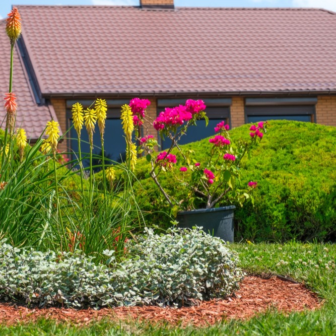 גינון מקצועי על ידי מעצב גינות