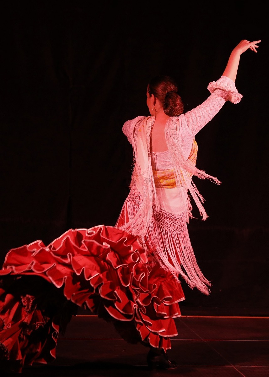 חדש במחול: פלמנקולאז'